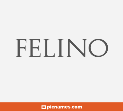 Felino