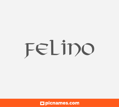 Felino