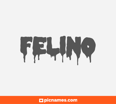 Felino