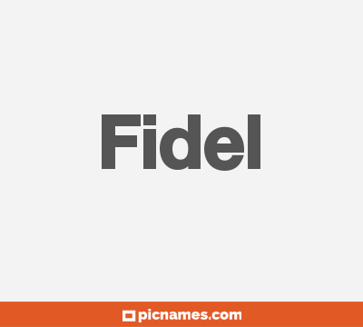 Fidel