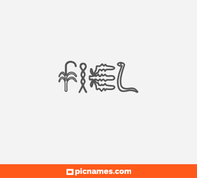 Fiel