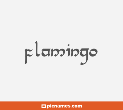 Flamingo