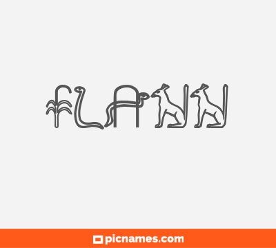 Flann