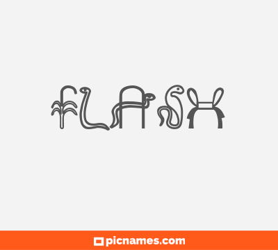 Flash