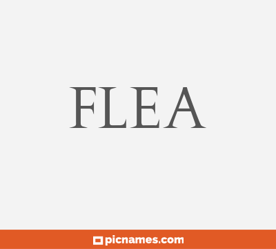 Flea