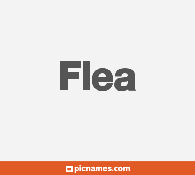 Flea