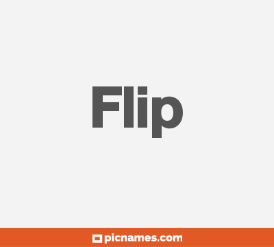 Flip