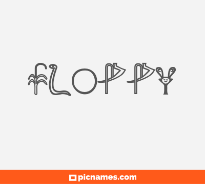 Floppy