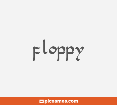 Floppy