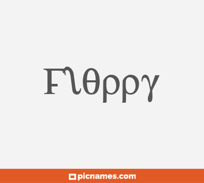 Floppy