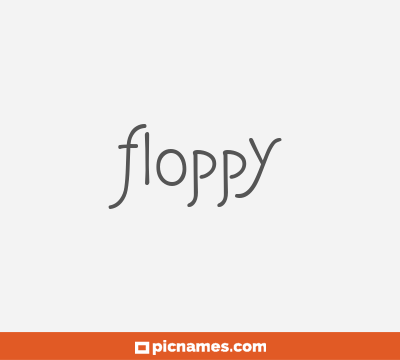 Floppy