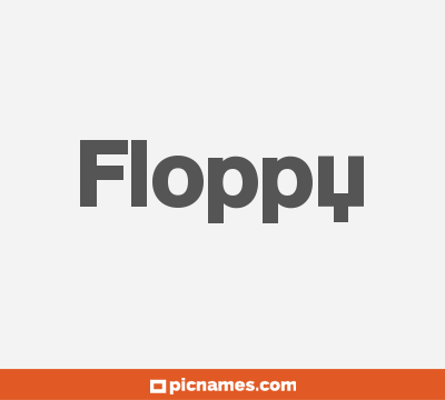 Floppy