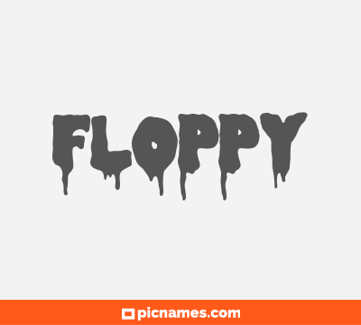 Floppy