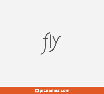 Fly