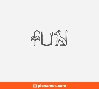 Fun