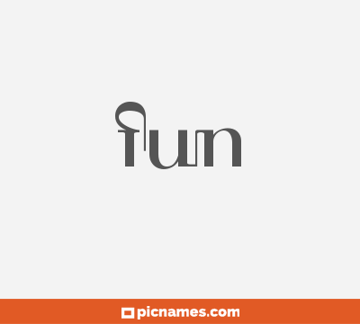 Fun