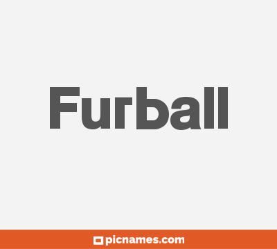 Furball