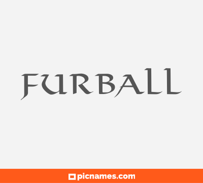 Furball