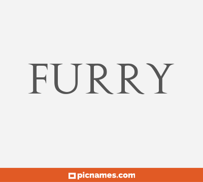 Furry