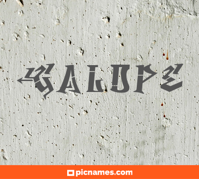 Galope