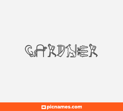 Gardner