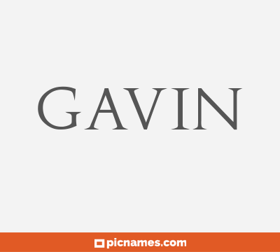 Gavin