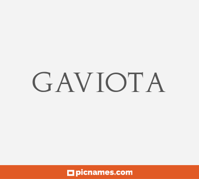 Gaviota