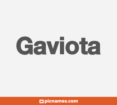 Gaviota
