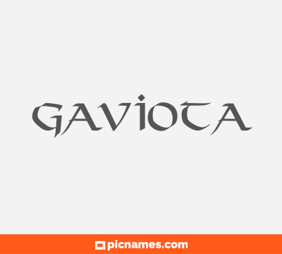 Gaviota