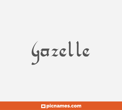 Gazelle