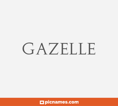 Gazelle