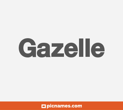 Gazelle