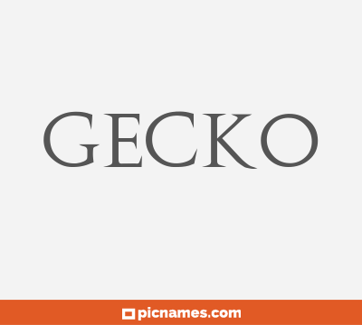 Gecko