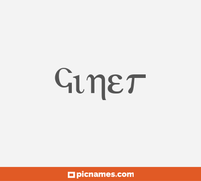 Giner