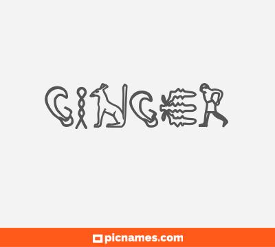 Ginger