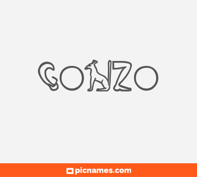 Gonzo