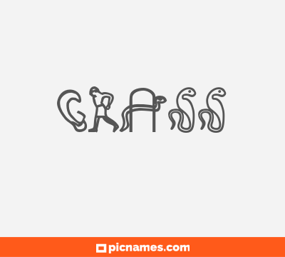 Grass