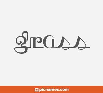 Grass