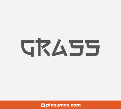 Grass