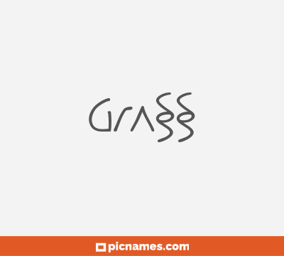 Grass