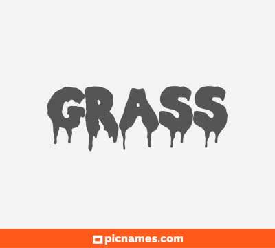 Grass