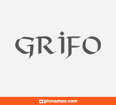 Grifo