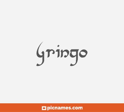 Gringo