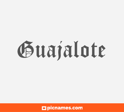 Guajalote