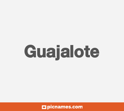 Guajalote