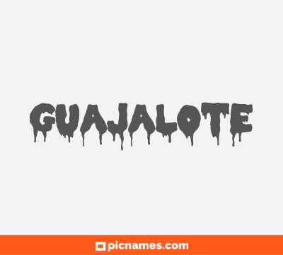 Guajalote