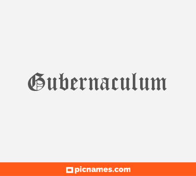 Gubernaculum