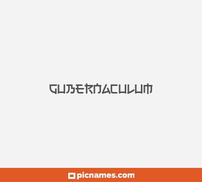 Gubernaculum