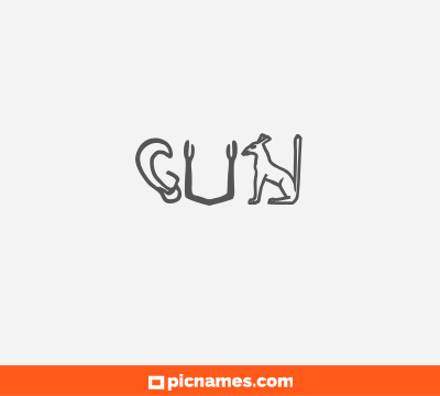 Gun