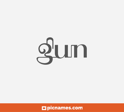 Gun